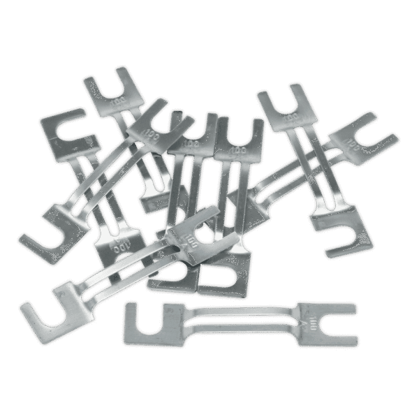 100A Fuse 99 x 20mm, Large - Pack of 10