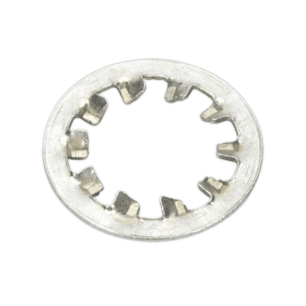 Internal Serrated Lock Washer Assortment M5-M10 1000pc