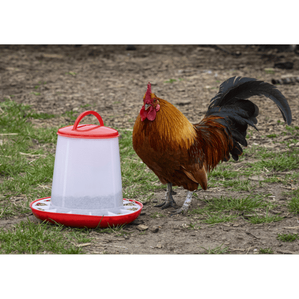 Poultry Feeder 3kg