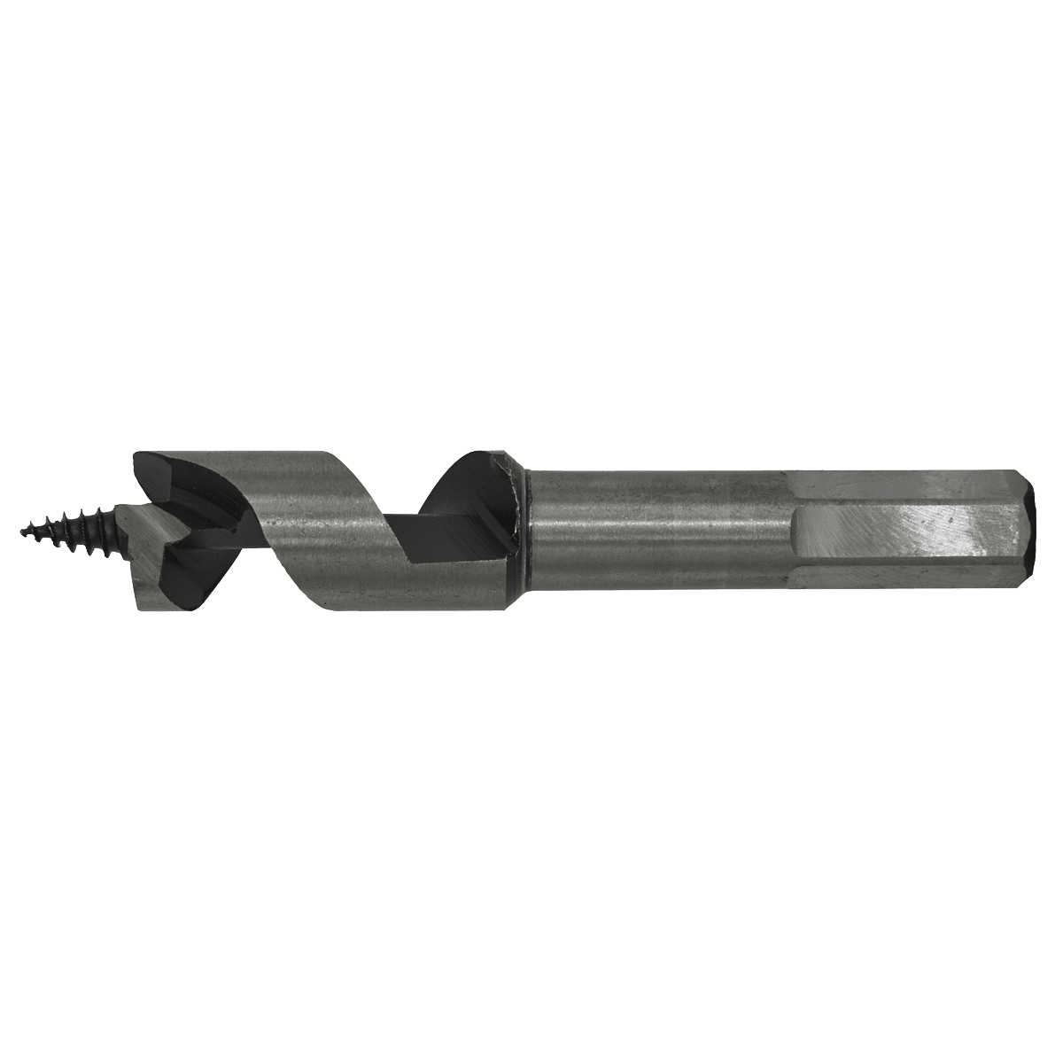 Auger Wood Drill Bit 16 x 100mm