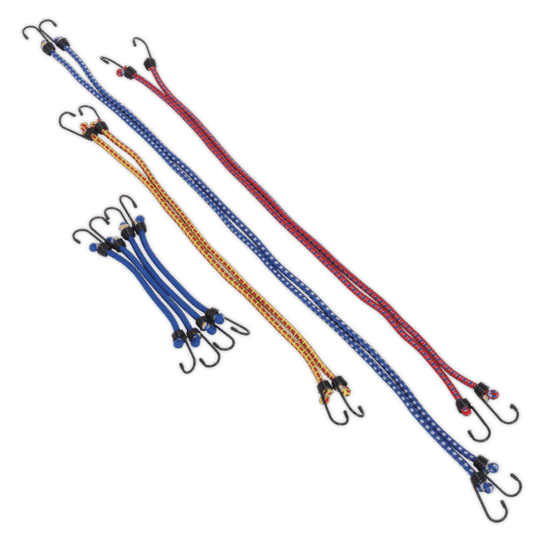 Bungee Cord Set 10pc