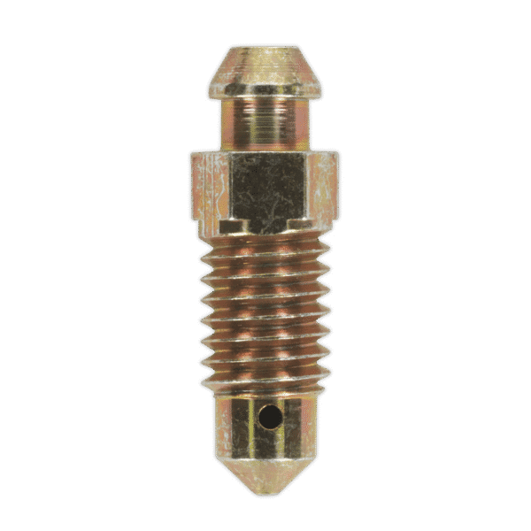 Brake Bleed Screw M8 x 24mm 1.25mm Pitch - Pack of 10