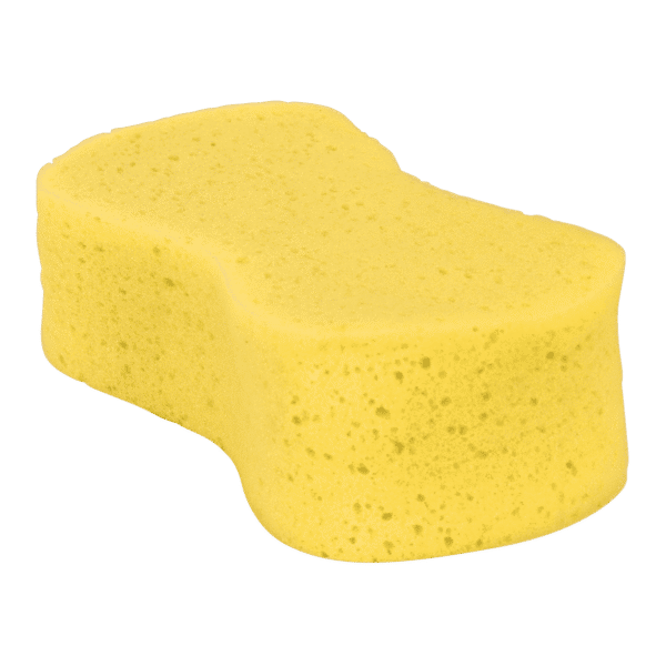 Large Sponge