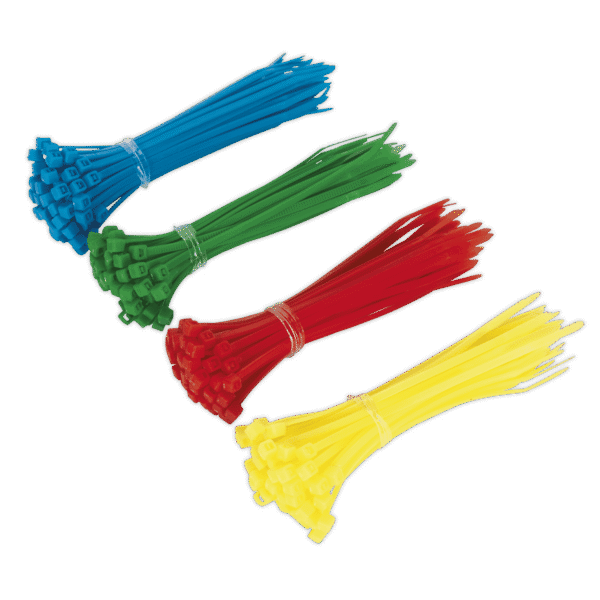 Cable Tie Assortment 100 x 2.5mm - Pack of 200
