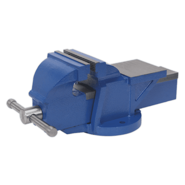 Professional Heavy-Duty Fixed Base Vice 125mm