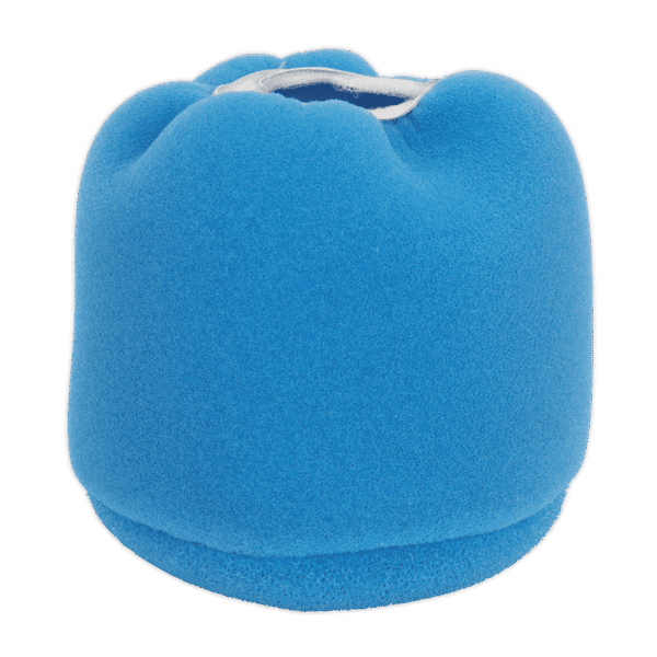 Foam Filter