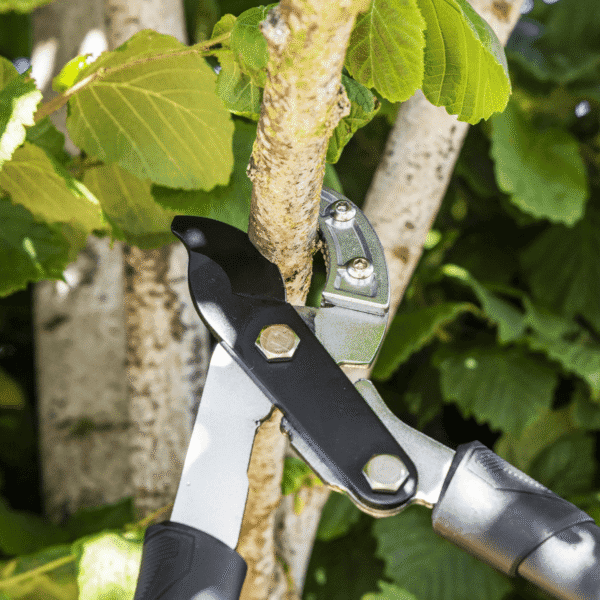 Telescopic Anvil Lopping Shears with Soft Grip Handle, Geared & Carbon Steel Blade