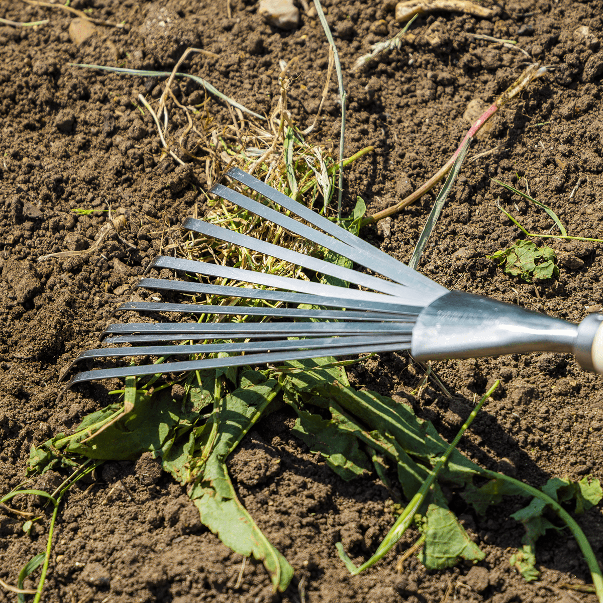 Premier Leaf Hand Rake with Ash Handle & Stainless Steel Tines - Image 4