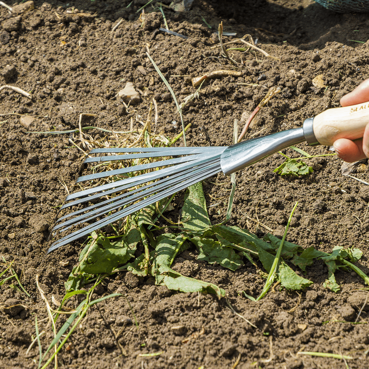 Premier Leaf Hand Rake with Ash Handle & Stainless Steel Tines - Image 3