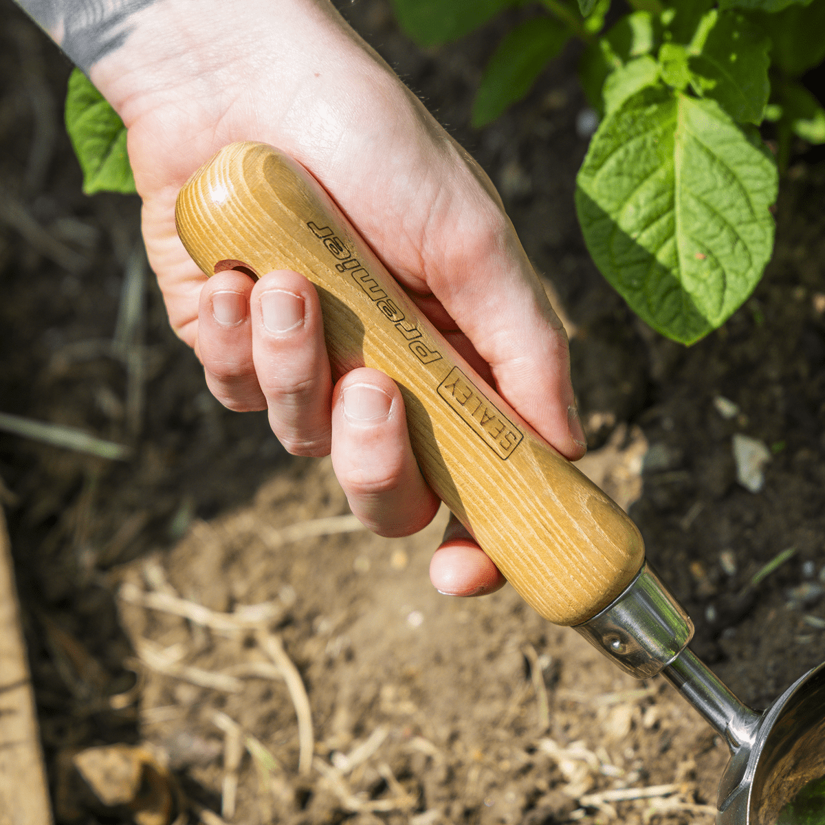 Premier Garden Scoop with Ash Handle & Stainless Steel Head - Image 8