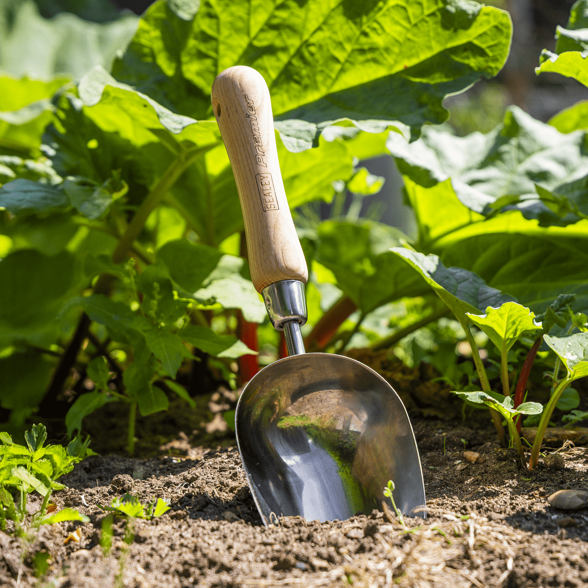 Premier Garden Scoop with Ash Handle & Stainless Steel Head - Image 7
