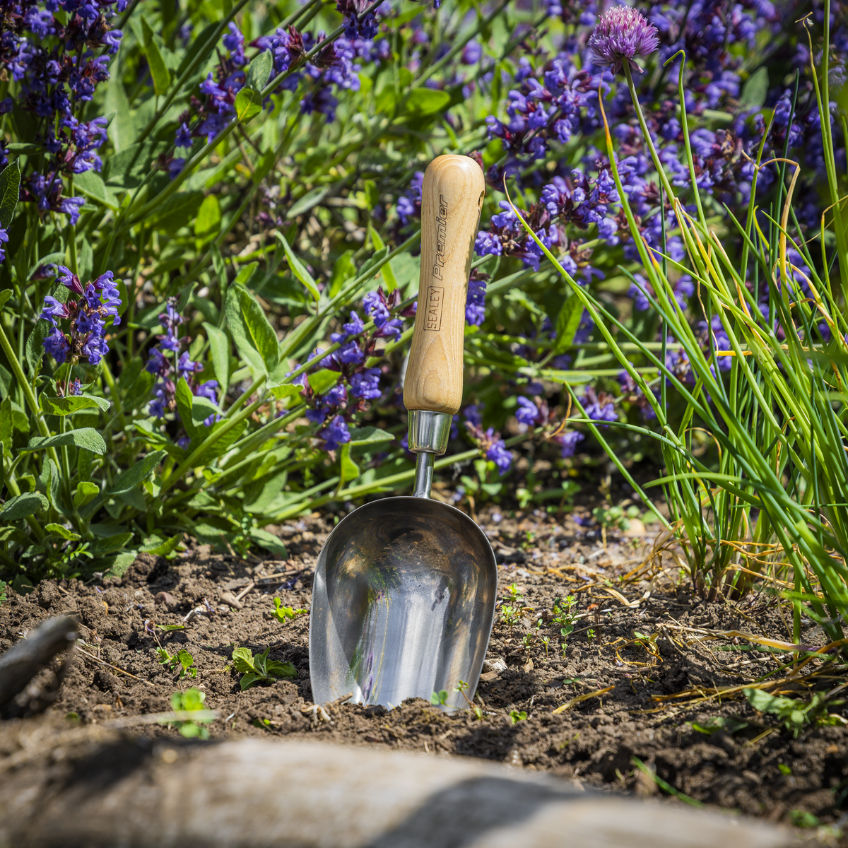 Premier Garden Scoop with Ash Handle & Stainless Steel Head - Image 4