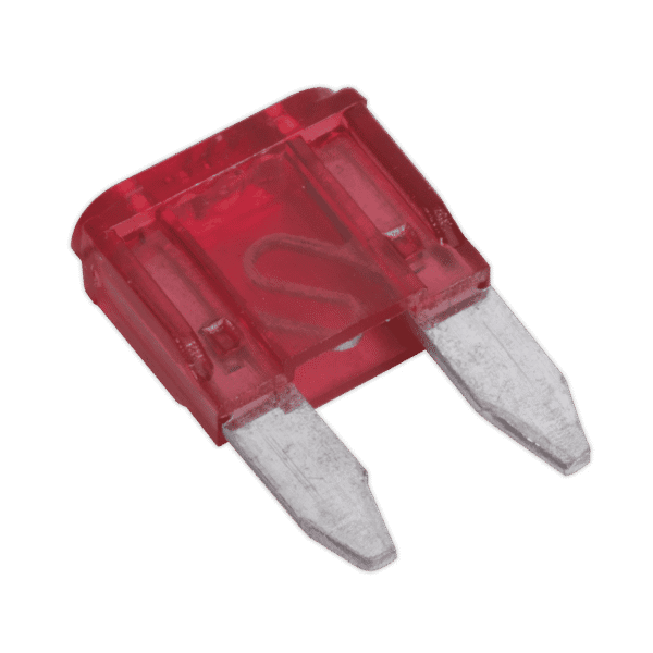 Automotive MINI Blade Fuse 10A - Pack of 50