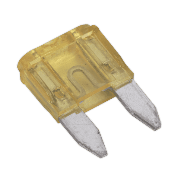 Clip Strip Deal - Automotive Mini Blade Fuses & Holders