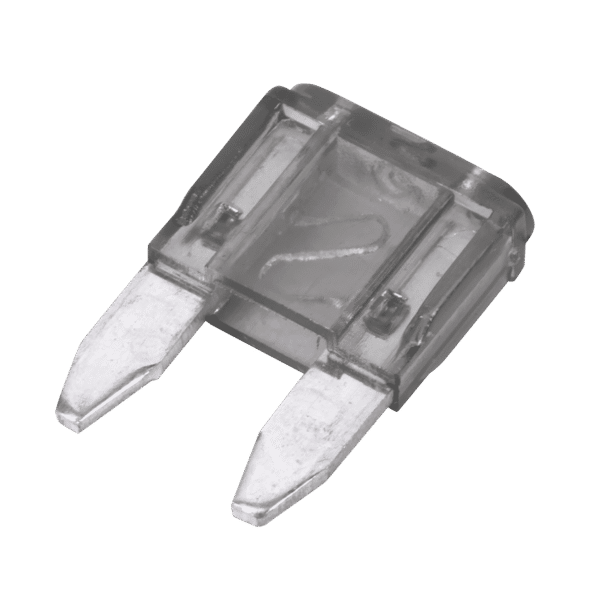 Automotive MINI Blade Fuse 2A - Pack of 50