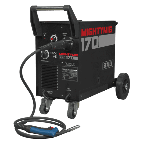 Professional Gas/Gasless MIG Welder with Euro Torch 170A