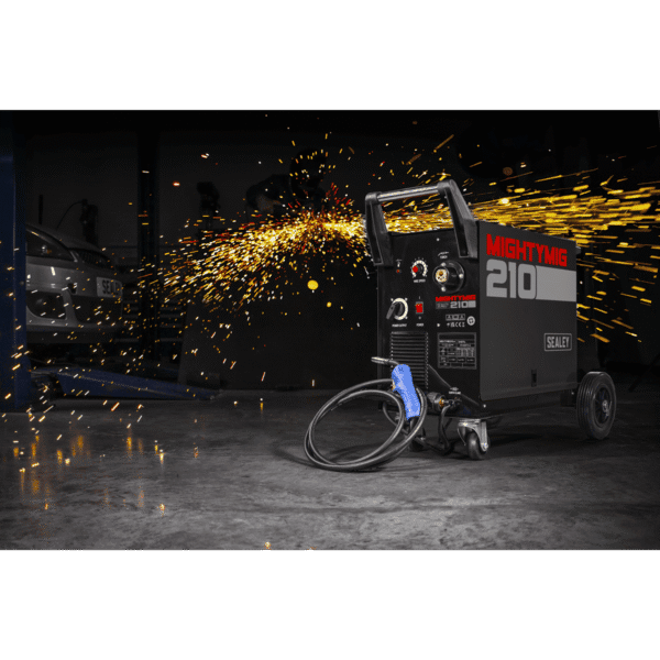 Professional Gas/Gasless MIG Welder with Euro Torch 210A
