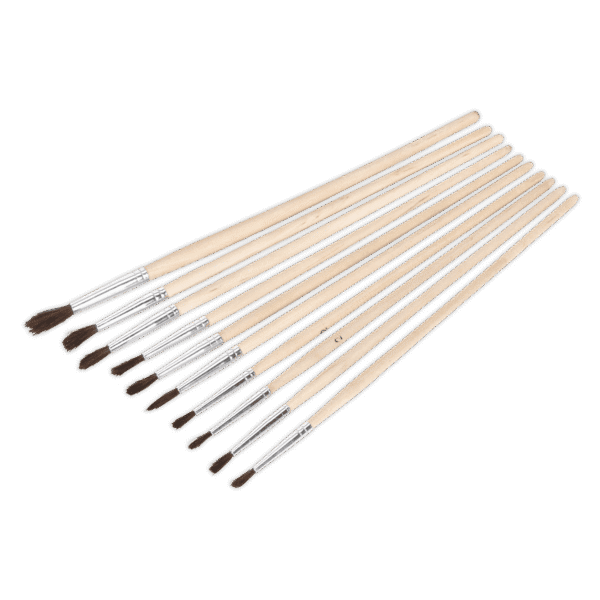 Touch-Up Paint Brush Assortment with Wooden Handle 10pc