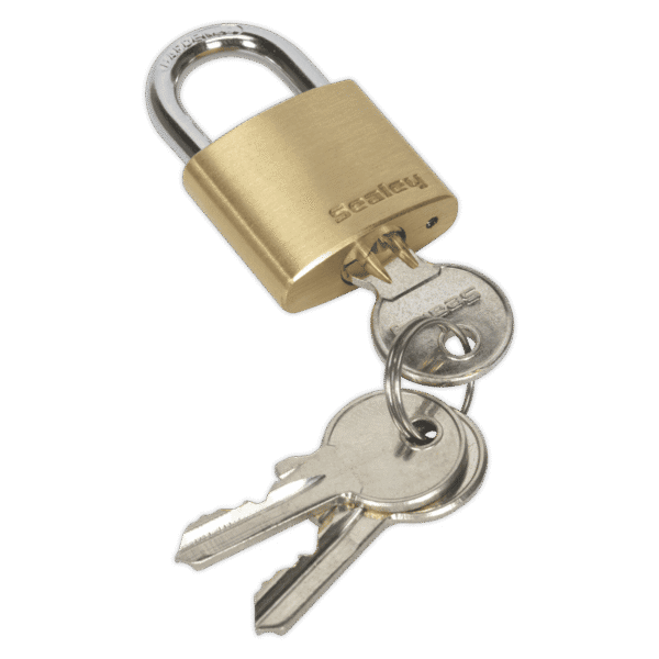 Brass Body Padlock 30mm