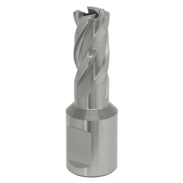 Worksafe® 12mm HSS Mag Drill Bit Cut Depth 25mm