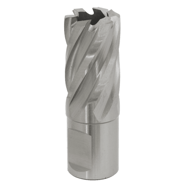 Worksafe® 20mm HSS Mag Drill Bit Cut Depth 25mm