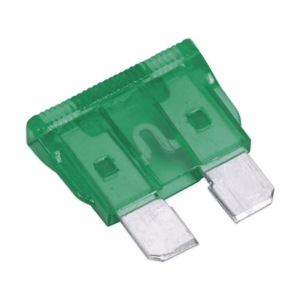 Automotive Standard Blade Fuse 30A - Pack of 50