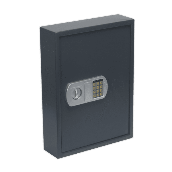 Electronic Key Cabinet 100 Key Capacity