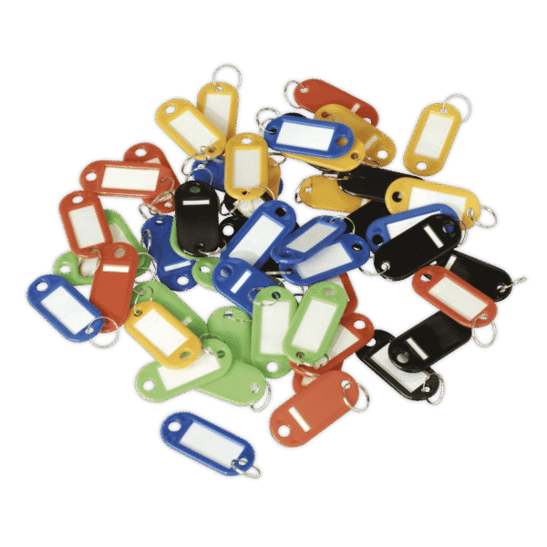 Key Tag Assortment 50pc
