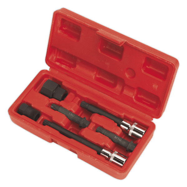 Alternator Freewheel Pulley Removal Set 6pc