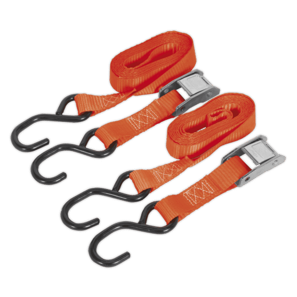 Cam Buckle Strap Polyester Webbing with S-Hooks 25mm x 2.5m 500kg Breaking Strength