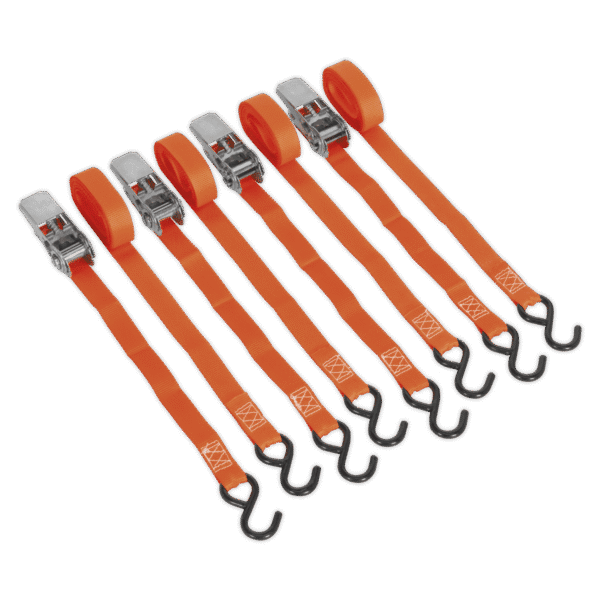 Ratchet Straps Polyester Webbing with S-Hooks 25mm x 4m 500kg Breaking Strength - 2 Pairs