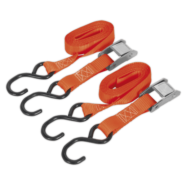 Cam Buckle Strap Polyester Webbing with S-Hooks 25mm x 2.5m 250kg Breaking Strength