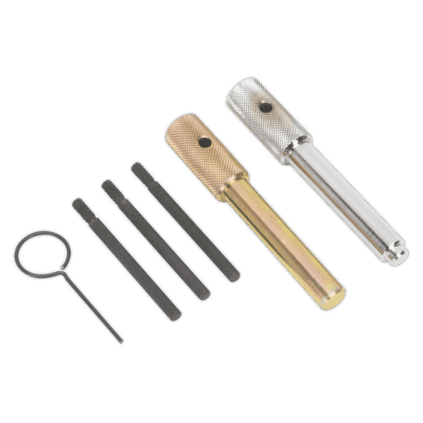 Diesel Engine Timing Tool Kit - for Ford, Fiat, JLR, LDV, PSA 2.0D/2.2D/2.4D/3.2D - Chain Drive