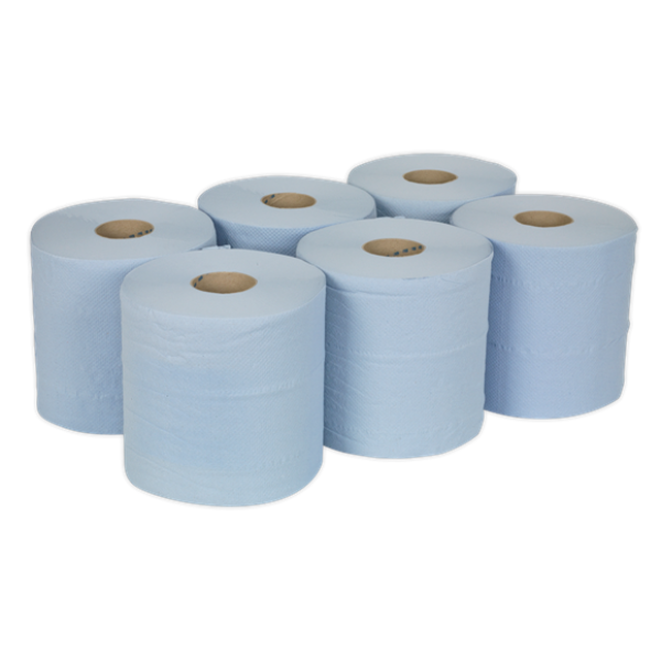 PAPER ROLL BLUE 2 PLY