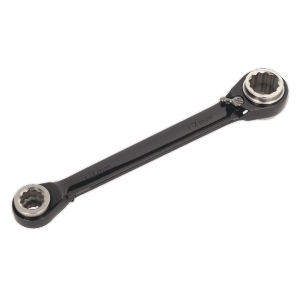 Premier 4-in-1 Reversible Ratchet Ring Spanner