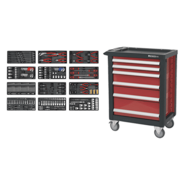 Premier™ Rollcab 6 Drawer with 298pc Tool Kit