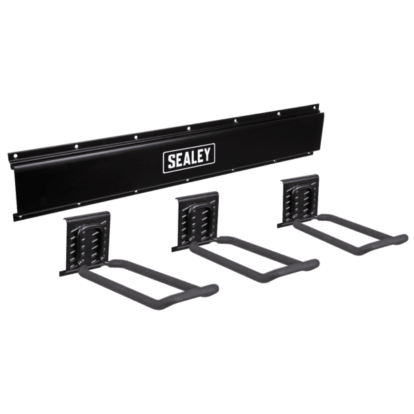 Wall Mounting Storage Rail with 3 Closed End Hooks
