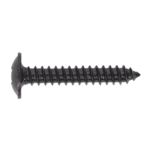Self-Tapping Pozi Flanged Head Screw 4.2 x 25mm, Black - Pack of 100