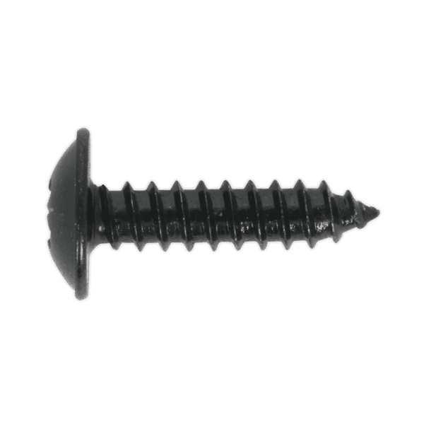 Self-Tapping Pozi Flanged Head Screw 4.8 x 13mm, Black - Pack of 100