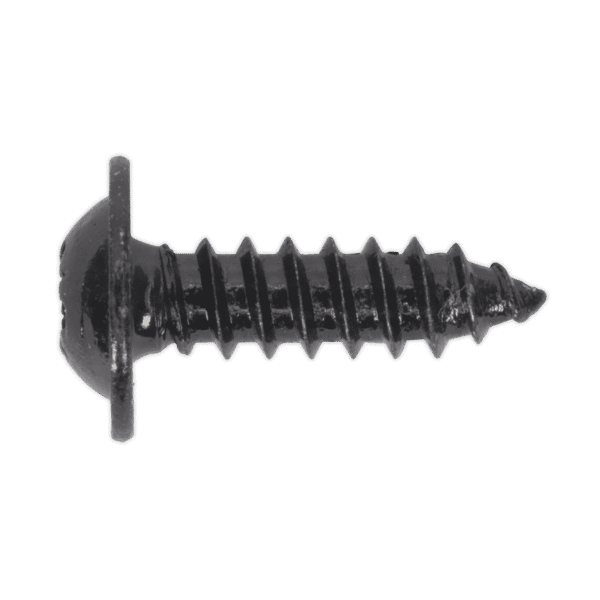 Self-Tapping Pozi Flanged Head Screw 4.8 x 16mm, Black - Pack of 100