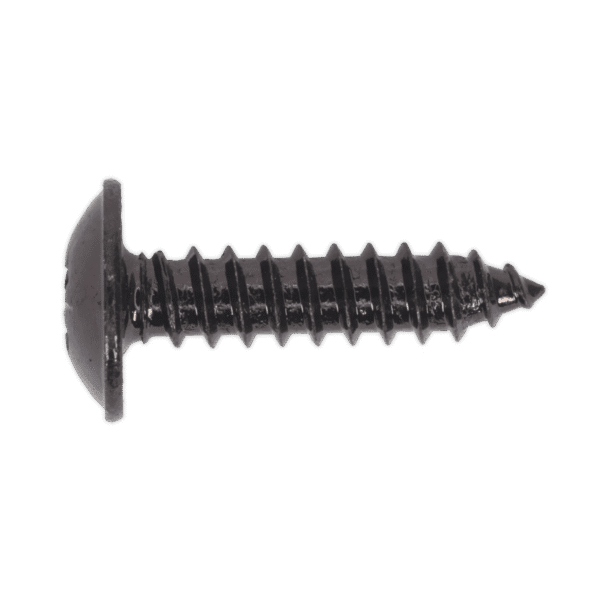 Self-Tapping Pozi Flanged Head Screw 4.8 x 19mm, Black - Pack of 100