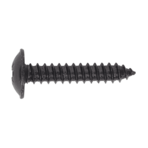 Self-Tapping Pozi Flanged Head Screw 4.8 x 25mm, Black - Pack of 100