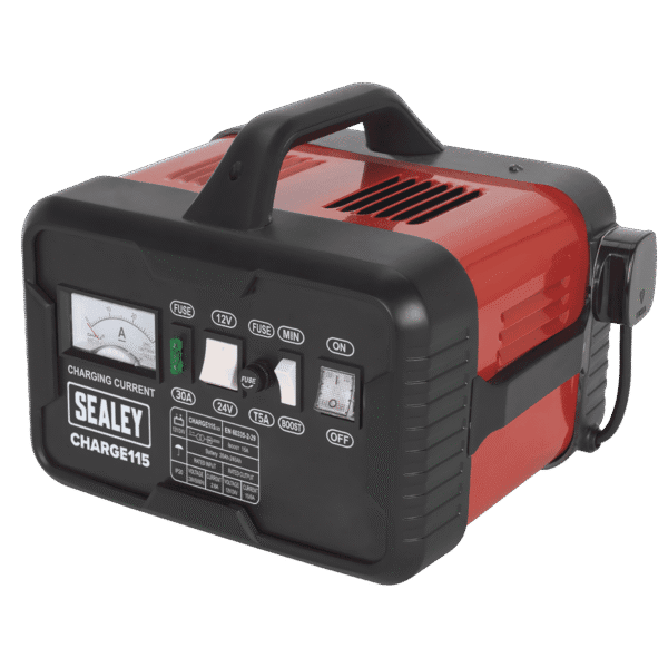 12/24V Battery Charger 19A 230V