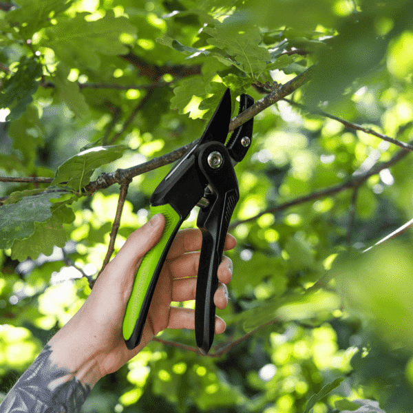 Anvil Secateurs with Soft Grip Handle, 3-Stage Safety Lock & Carbon Steel Blade, 220mm