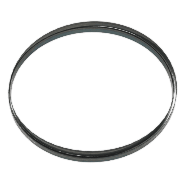 24tpi Bandsaw Blade 2400 x 12 x 0.6mm