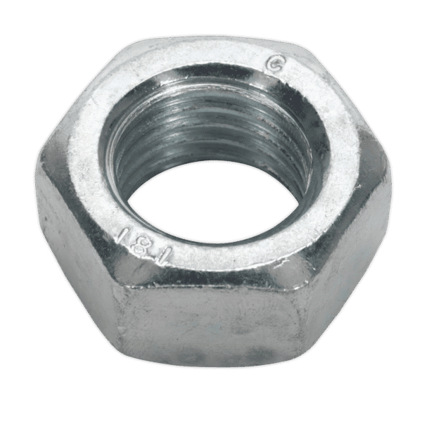 Zinc Plated Steel Nut M20, DIN 934 - Pack of 10