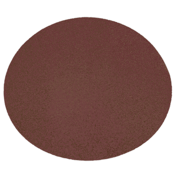 230mm Adhesive Backed Sanding Disc 80Grit