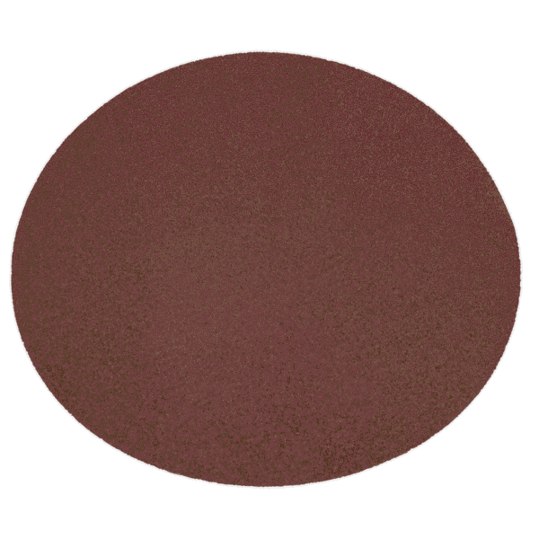 305mm Hook-and-Loop Sanding Disc 80Grit