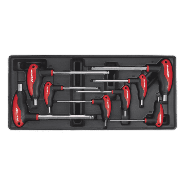 Premier T-Handle Ball-End Hex Key Set with Tool Tray 8pc