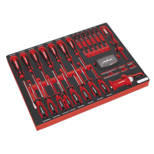 Premier Platinum Screwdriver Set with Tool Tray 72pc